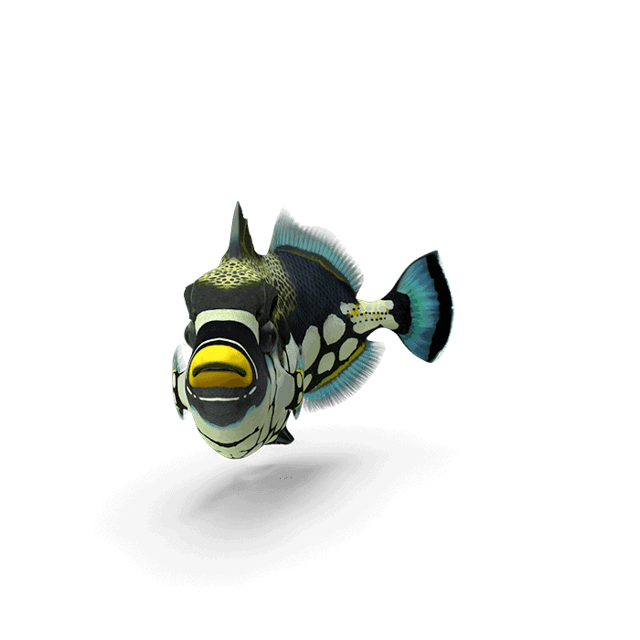 fish112.png